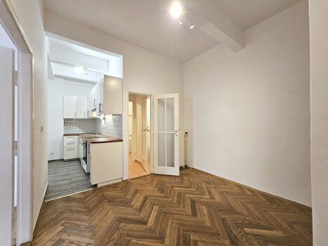 Pronájem zrekonstruovaného bytu 2+1, 60 m2, Praha, Vinohrady, ulice Řipská