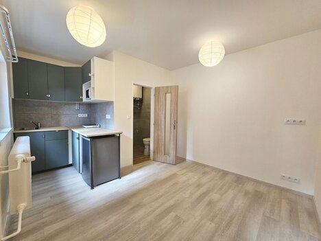 Pronájem 1+kk, 15 m2, po rekonstrukci, Praha 6, Břevnov, ulice Pod Marjánkou