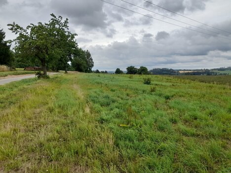 prodej stavebního pozemku 1 411m2, Hořice
