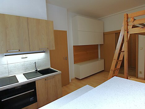 Praha 7, Holešovice, pronájem bytu  po reko 1+kk, 26 m2, zařízeno.